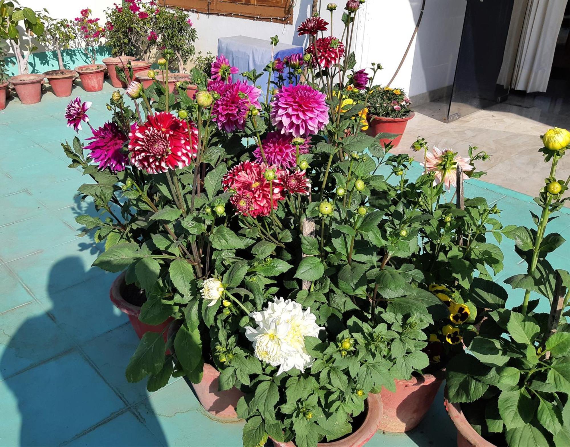 Fully Furnished Ish, Atithya Homestay With Various Amenities And Free Services In Lucknow, India Kültér fotó