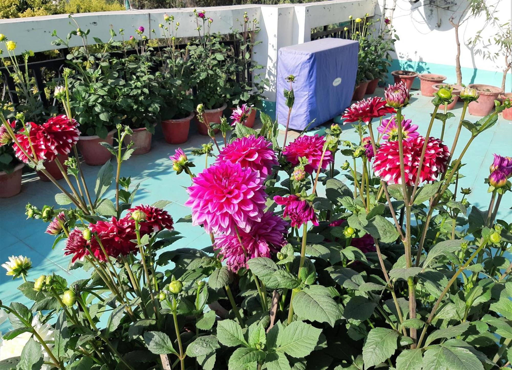 Fully Furnished Ish, Atithya Homestay With Various Amenities And Free Services In Lucknow, India Kültér fotó